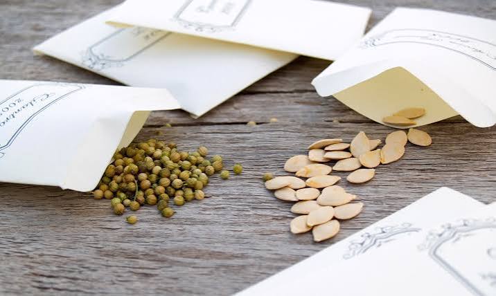 Sachets de semences bio de la gamme 2026 de Racines et Pousses